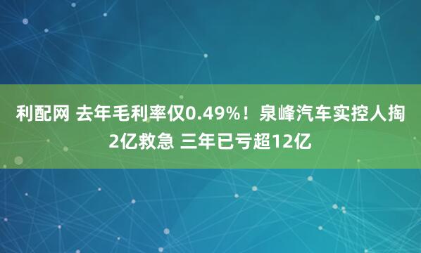 利配网 去年毛利率仅0.49%！泉峰汽车实控人掏2亿救急 三年已亏超12亿