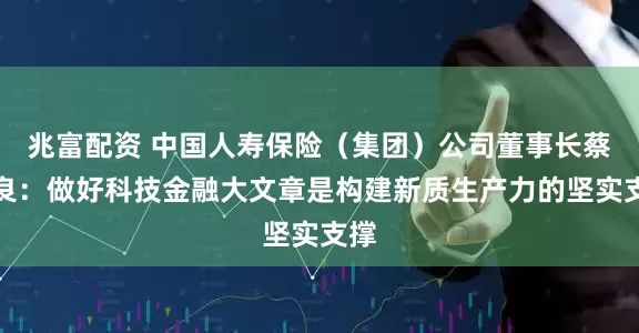 兆富配资 中国人寿保险（集团）公司董事长蔡希良：做好科技金融大文章是构建新质生产力的坚实支撑