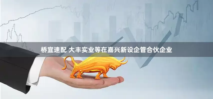 桥宜速配 大丰实业等在嘉兴新设企管合伙企业