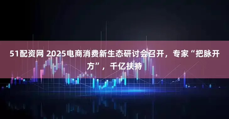 51配资网 2025电商消费新生态研讨会召开，专家“把脉开方”，千亿扶持