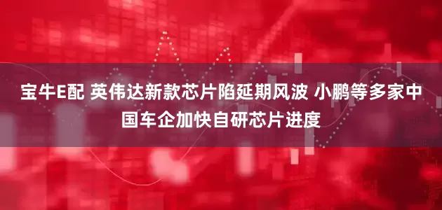 宝牛E配 英伟达新款芯片陷延期风波 小鹏等多家中国车企加快自研芯片进度