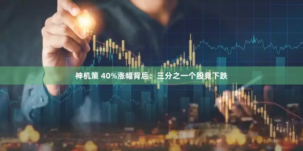 神机策 40%涨幅背后：三分之一个股竟下跌