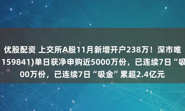 优股配资 上交所A股11月新增开户238万！深市唯一百亿证券ETF（159841)单日获净申购近5000万份，已连续7日“吸金”累超2.4亿元